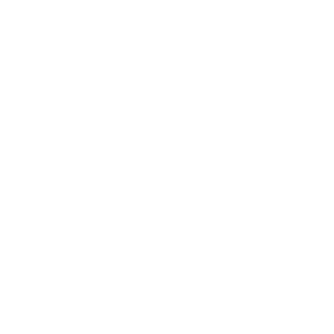 Icon Seniorität