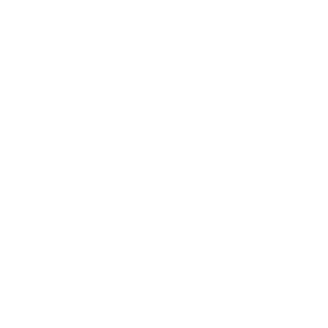 Icon IT Provider