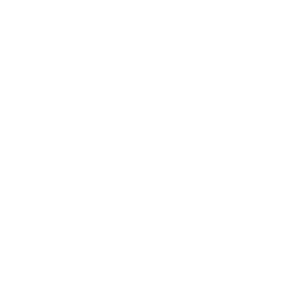 Icon IT-Security
